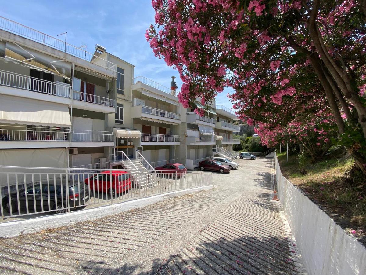 Basileia'S Home PalaiónTsiflíkion Exteriér fotografie